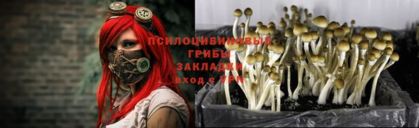мескалин Абинск