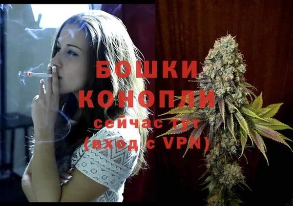 a pvp Абаза