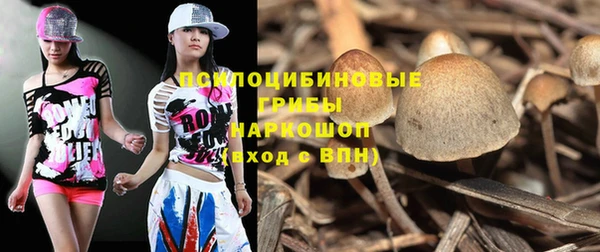 крисы Абдулино