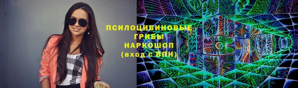 крисы Абдулино