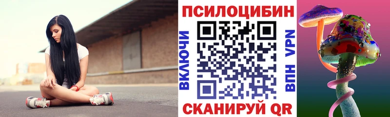 где найти   Суоярви  Псилоцибиновые грибы Psilocybe 